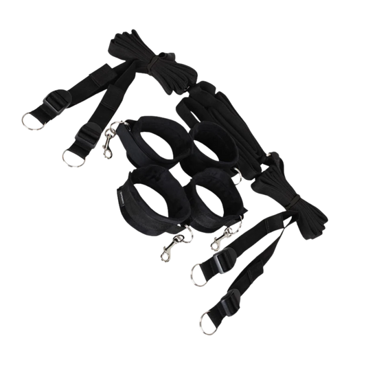 Under The Bed Restraint System